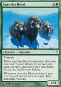 Aurochs Herd | ColdSnap