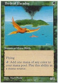 Birds of Paradise | 5th Edition