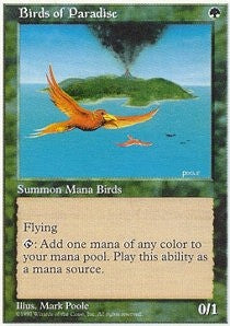 Birds of Paradise | 5th Edition