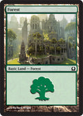 Forest (273) - Foil | Return to Ravnica