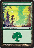 Forest (248) - Foil | Scars of Mirrodin