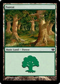 Forest (44) | Duel Decks: Knights vs. Dragons