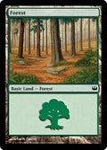 Forest (45) | Duel Decks: Knights vs. Dragons