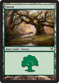 Forest (244) | Avacyn Restored