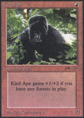 Kird Ape | Arabian Nights