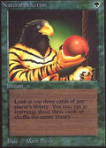 Natural Selection | Alpha