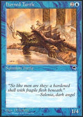 Horned Turtle | Tempest