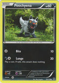 Poochyena - 53/119 - Common | XY - Phantom Forces