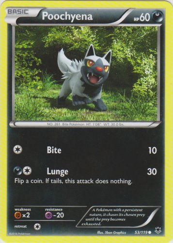 Poochyena - 53/119 - Common | XY - Phantom Forces