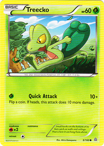Treecko - 6/160 - Common | XY - Primal Clash