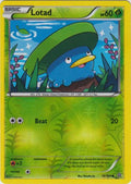 Lotad - 10/160 - Common - Reverse Holo | XY - Primal Clash