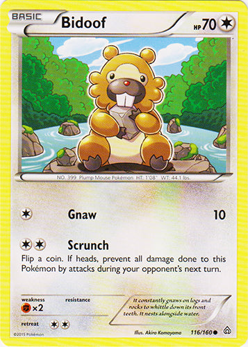 Bidoof - 116/160 - Common | XY - Primal Clash