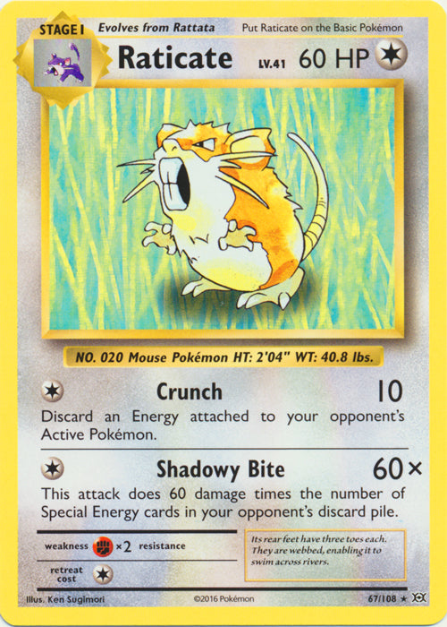Raticate - 67/108 - Rare | XY - Evolutions