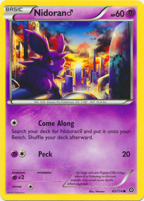 Nidoran (Male) - 43/114 - Common | XY - Steam Siege