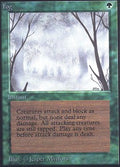 Fog | Beta