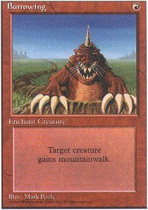 Burrowing | 4th Edition