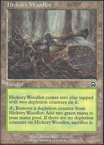 Hickory Woodlot - Foil | Mercadian Masques