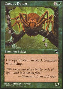Canopy Spider | Tempest
