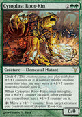 Cytoplast Root-Kin | Dissension